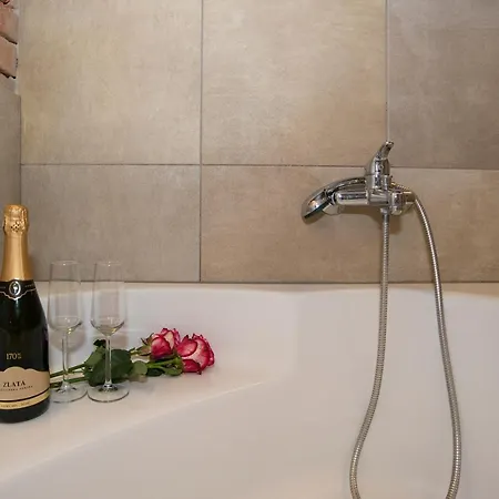 Oasis-with Parking Liubliana